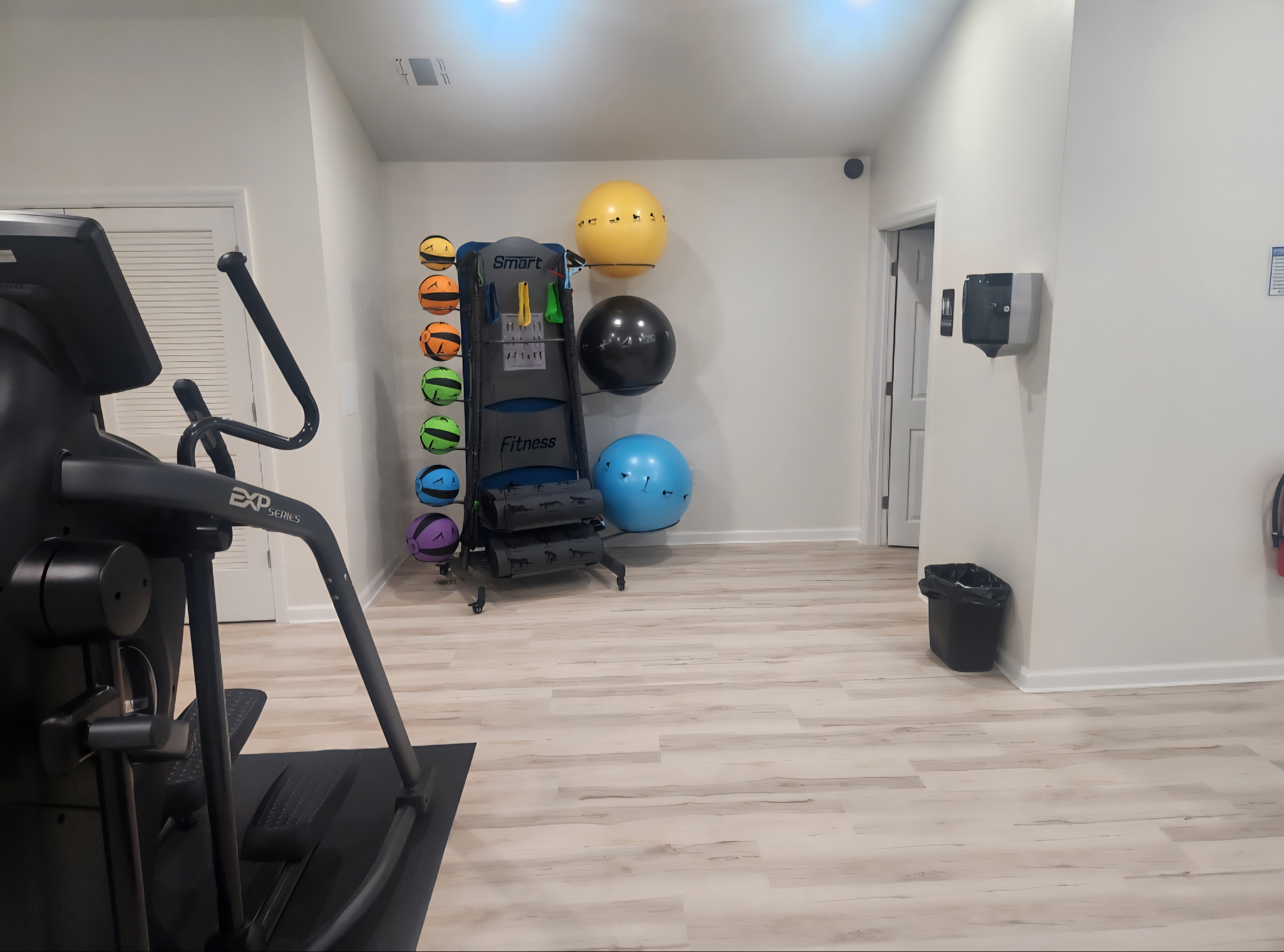 Fitness center medicine balls
